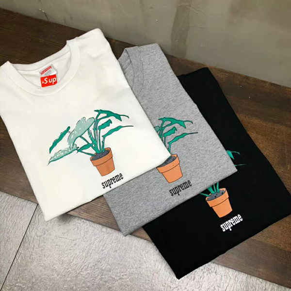 Tシャツ Stussy レディース メンズ ステューシー 鉢植え ブランド 丸首