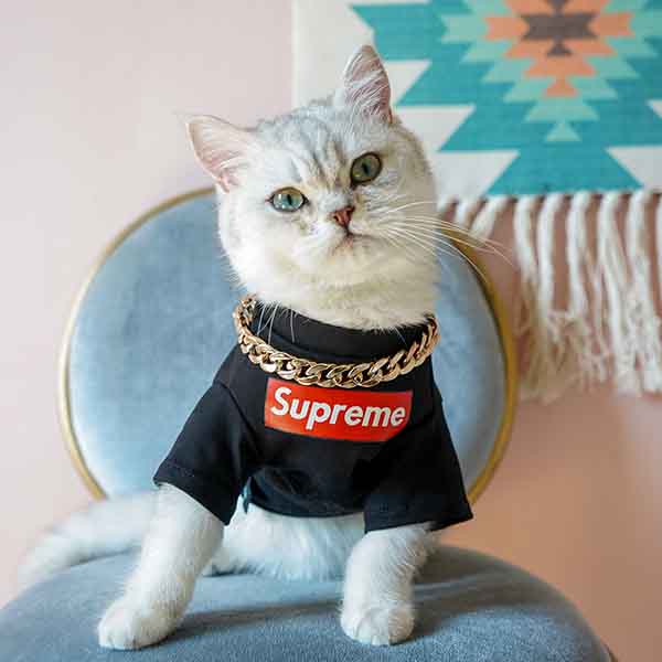 シュプリーム 犬の服 ｔシャツ supreme ドッグウェア 可愛い ブランド